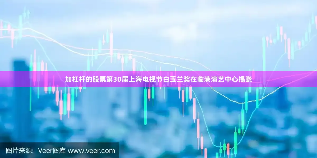 加杠杆的股票第30届上海电视节白玉兰奖在临港演艺中心揭晓
