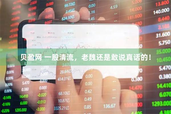 贝盈网 一股清流，老魏还是敢说真话的！