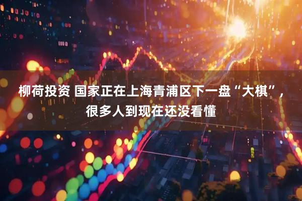柳荷投资 国家正在上海青浦区下一盘“大棋”，很多人到现在还没看懂